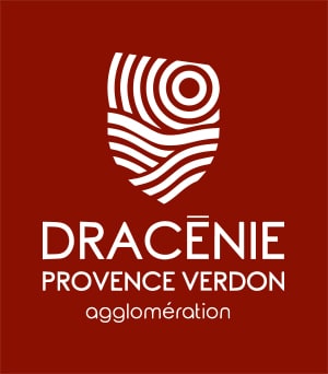 logo-dpva@2x